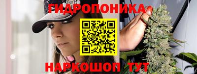 дурь Лесосибирск