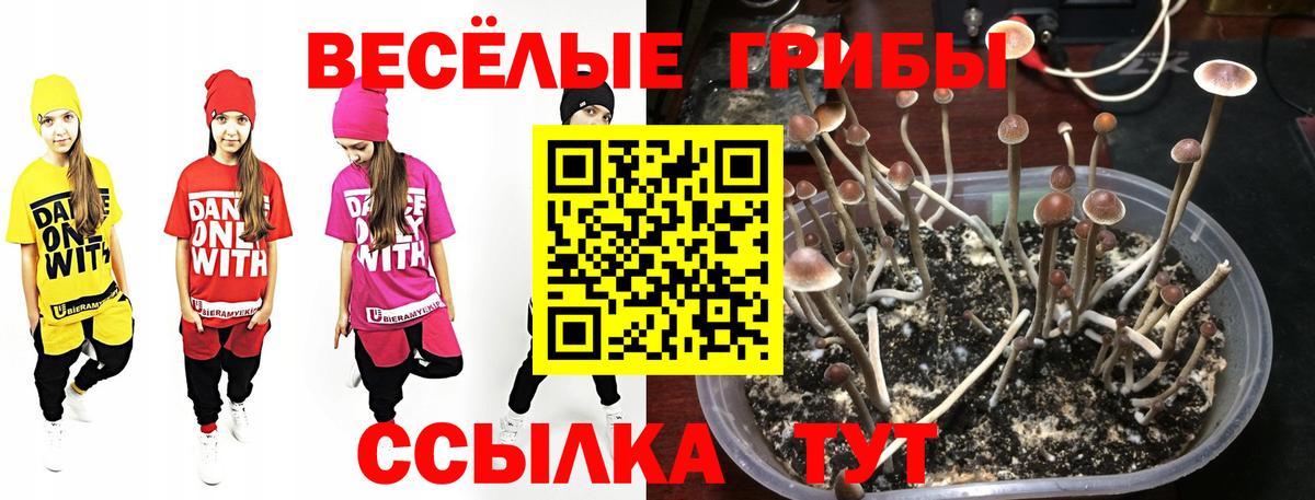 Псилоцибиновые грибы мухоморы  Вход с VPN  где найти   Якутск  Галлюциногенные грибы Psilocybine cubensis 